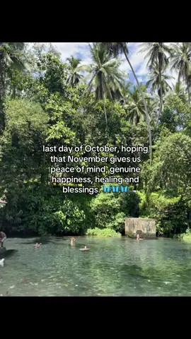 #livephoto #4uu #xybca 