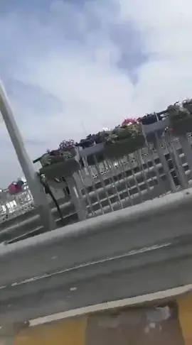 #مجرد________ذووووووق🎶🎵💞  #funny_علامات_هاشتاك_  #الانبار_الرمادي#الشعب_الصيني_ماله_حل