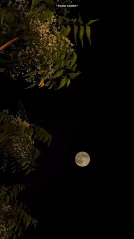 • Hyee this lines •🖤🥀🥺           #foryou #pashto #pashtopoetry #repost #i9ote1 #unfreezemyacount 