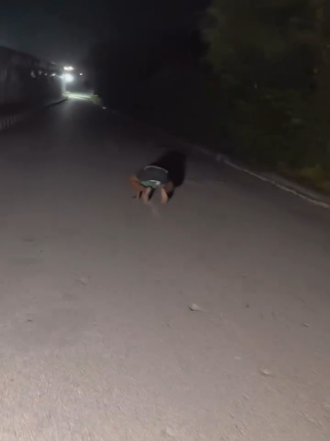 Watch Till End.  🐸  #horror #scary  #spooky #haunted #hauntedroad 