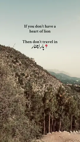 Tʜᴇ ʟᴀɴᴅ ᴏғ ʟɪᴏɴs 💀🏴‍☠️ #parachinar #viral #fyp #tiktok #viraltiktok 