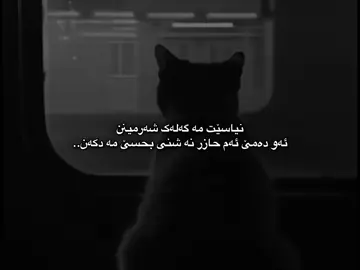 🔥#falsel0ve #dhuke_zaxo_akre_arbil_iraq 