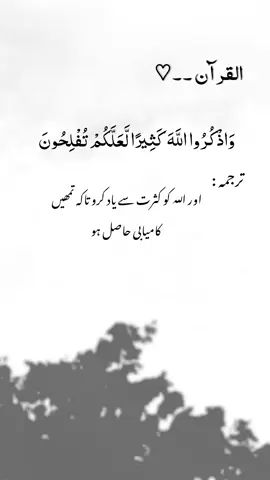 Islamic / moral messages #QuranRecitation #QuranTranslation #Dua #PowerfulDua #Forgiveness #Astaghfar #Repentance #IslamicSupplication #Ayat #quranquotes 