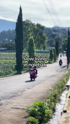 pov : tangi esuk nyawang lawu nak oleh bojo wong nglebak