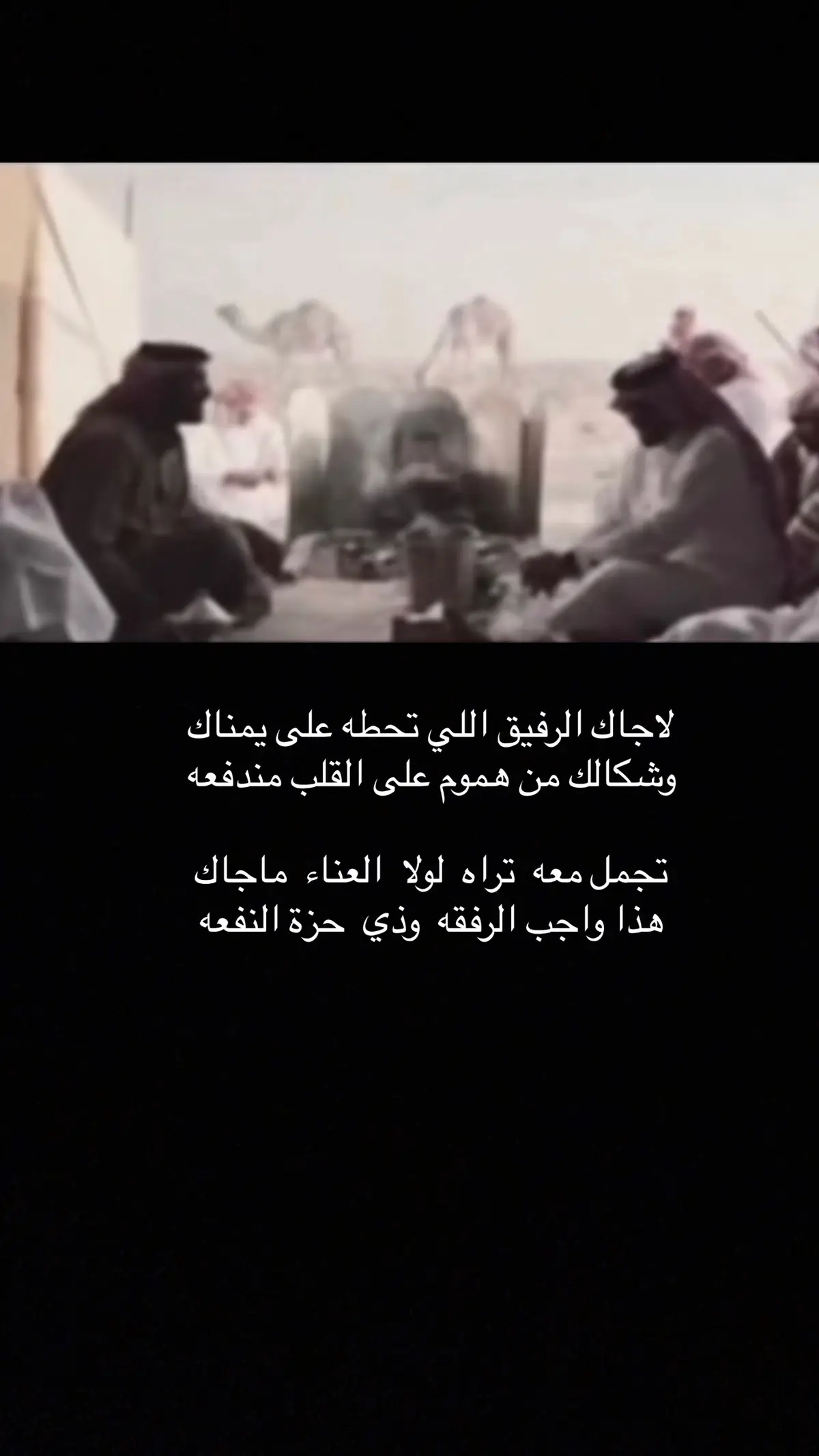 #لشاعرها #جزل_الابيات 