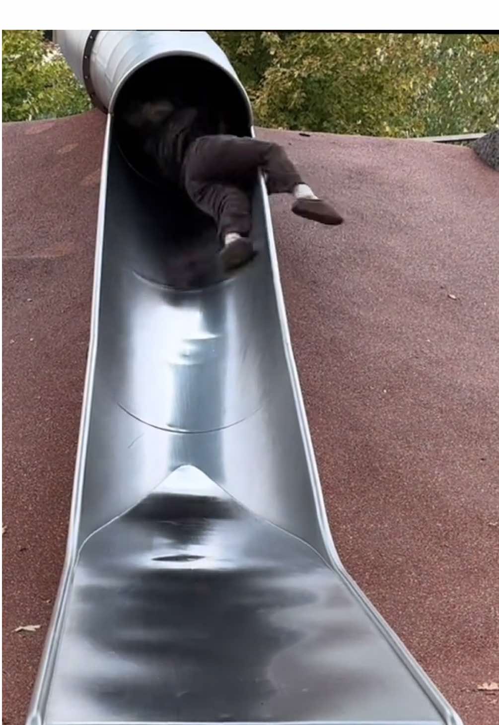 Sound on for this one. I have never laughed so hard hahaha. My family from CA came to visit me in MA and everyone but her knew about the cop slide. I tried to stop her 😭