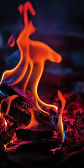 𝕋𝕙𝕖 𝕖𝕥𝕖𝕣𝕟𝕒𝕝 𝕕𝕒𝕟𝕔𝕖 𝕠𝕗 𝕝𝕚𝕘𝕙𝕥 𝕒𝕟𝕕 𝕤𝕙𝕒𝕕𝕠𝕨 🔥 #fire #livewallpaper #livewallpaper4k #4kUltra #group7 