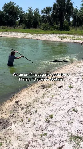 Little too up close & personal🤯 #fyp #gator #florida #stomp #rocktober 