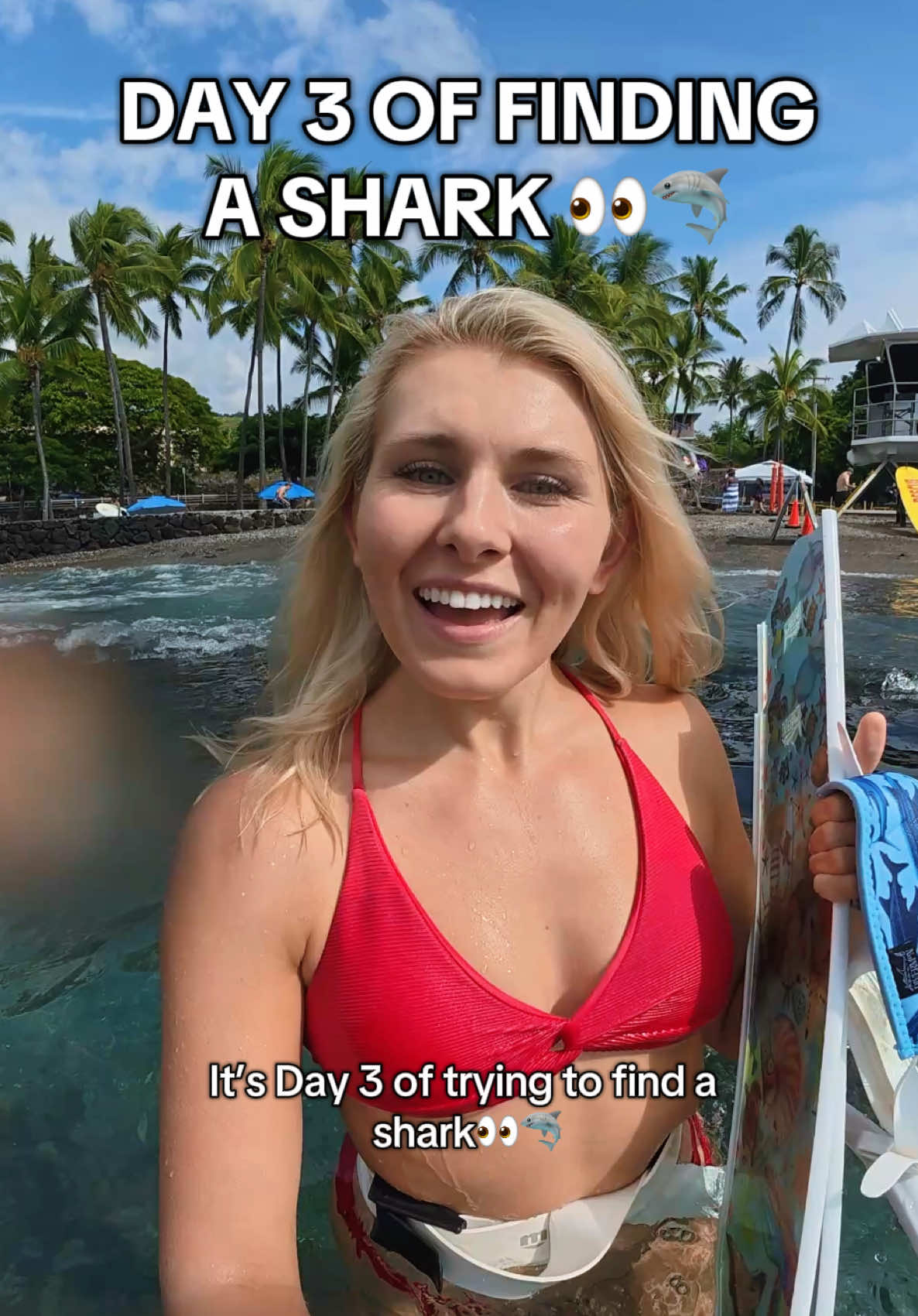 He definitely tried to set me up…😳 #freediving #hawaii #sharks #oceanlife #oceangirl 