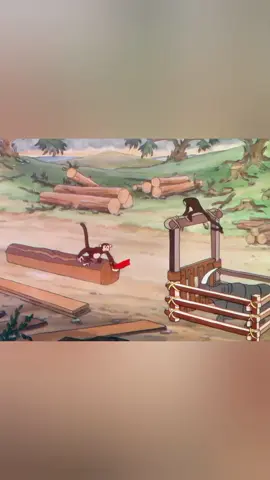 Animals and ship #story #aura #fyp #fpyyyyyyyyyyyyyyyyyyyyyy #creatorsearchinsight 