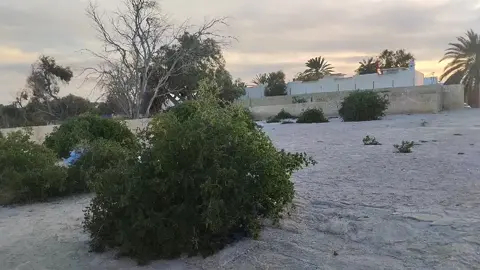 #جربة_مدنين_بنقردان_جرجيس_🇹🇳تطاوين_ڨابس 