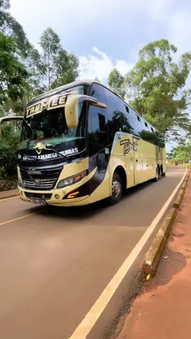 TWENDE MOMBASA 🌊🌴@𝐓𝐀𝐇𝐌𝐄𝐄𝐃 𝐂𝐎𝐀𝐂𝐇 LTD @user njau mariam Call 📱 ‪+254 712 404943‬ for inquiries @𝑩𝒖𝒔𝒎𝒂𝒏𝒊𝒂_𝒌𝒆 @Avoca Jr. Malesi @_Fᴀʙʀɪᴄɪo_EA🇰🇪🇺🇬🇹🇿 @🌴Mcoast🥥🌴 @BUS.SCENE_EA @BUSES ON HIGHWAYS @Dan Mwau @BusRide 254 #highway #fyp #traveltiktok #kenyantiktok🇰🇪 #travelblogger 