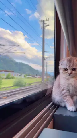 #explore #foryoupage #fyp #foryou #keşfet 