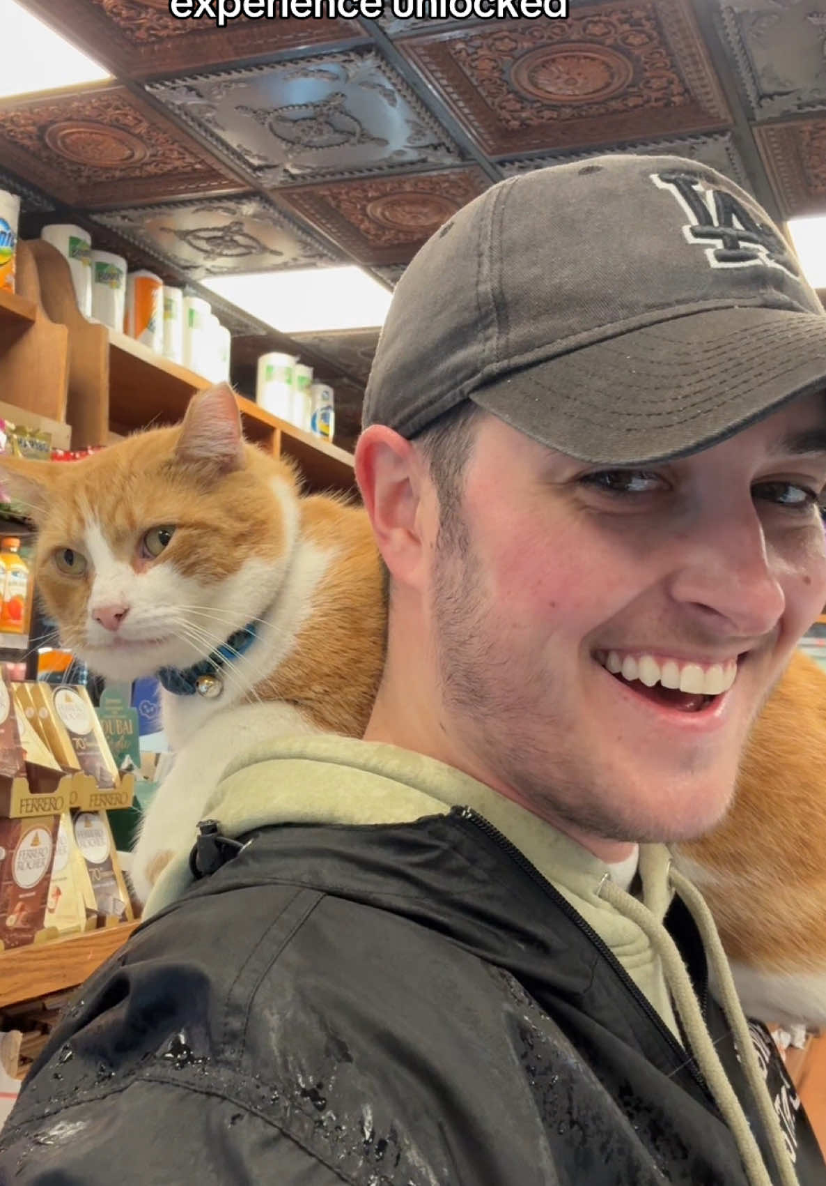 i have been chosen 🙂‍↕️ #catsoftiktok #cat #bodega 