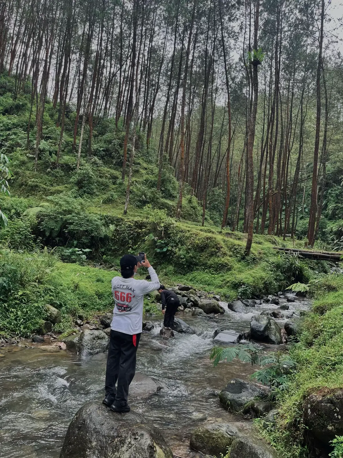 Hanya Menikmati Alam 🍃🌲  #wonosobo24jam #hiddengems #wonosobo  #masukberanda #fyp 