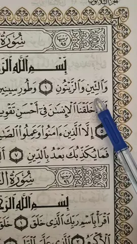 Recitation Of Quran 📖  #🖤 #quran #fyp #viral #foryoupage 