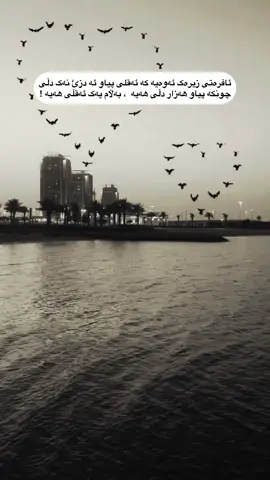 ئافرەتی زیرەک #foryou #iraq_bd #erbil #folome #actives?🥺💔 