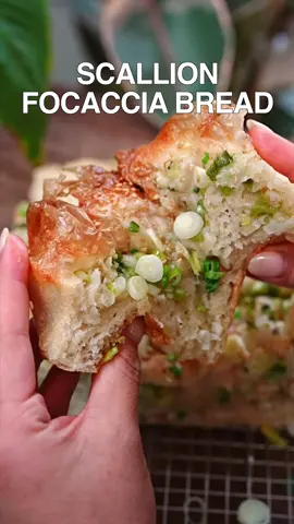My moms scallion focaccia bread 🥖 seriously SO good! #bread #focaccia 