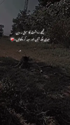 #foryou #repost #support mee