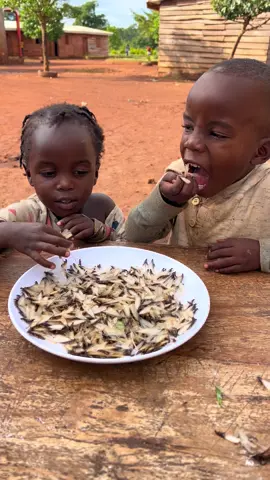 For some hungry children, white ants aren’t just a snack they’re survival.  When there’s no food, these tiny insects become a lifeline, rich in protein and energy. It’s a reminder of how tough life can be for the little ones in our villages. Would you ever try them? #VillageLife #UgandaEats #SupportOrphans #HelpTheNeedy #DonateNow