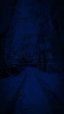 سورة العنكبوت الاية 58 أعود بالله من شيطان رجيم  #قرأن_كريم_راحة_نفسية #المصحف #قرأن #الشعب_الصيني_ماله_حل😂😂 #CapCut 