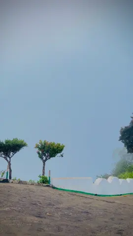 දවල් 12 ටත් මිදුමෙන් වැහෙන Lipton seat 💚🇱🇰 . . . . #foryoupage  #virelvideo  #2kviews  #liptonseat  #srilanka 