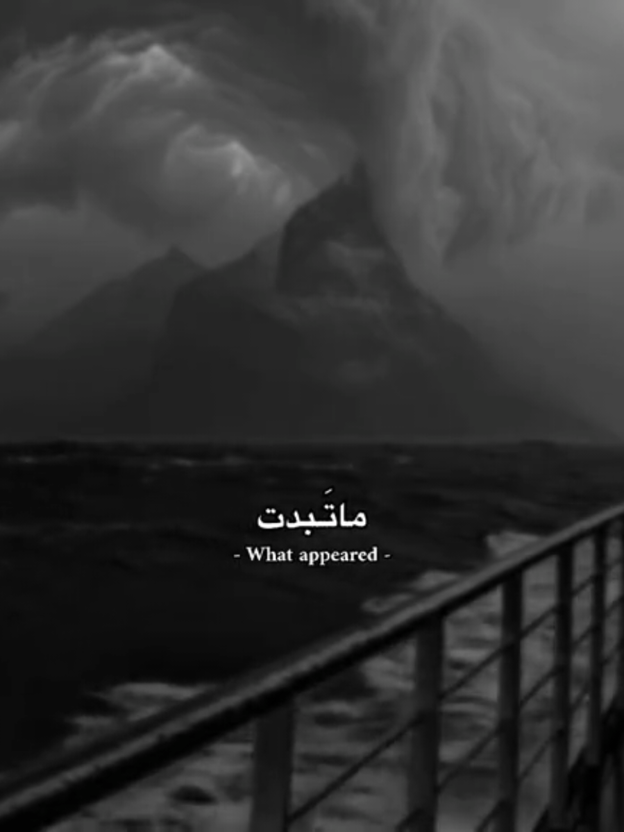 واستَقرت . #باسم_الكربلائي #قصائد #foryou 