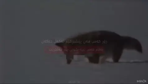 #bejau010 #fypシ゚ #foryoupage #foryou #fyppppppppppppppppppppppp 