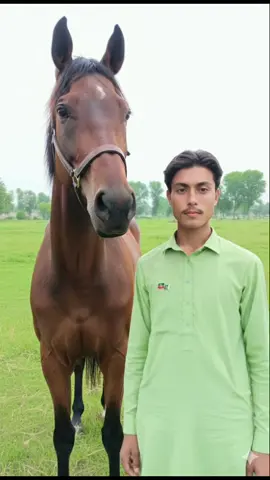 #inamkhan pti #imran Khan dialogue #photography #viralvideo #new_trending #plzviral🥺🥺🙏🙏foryoupage