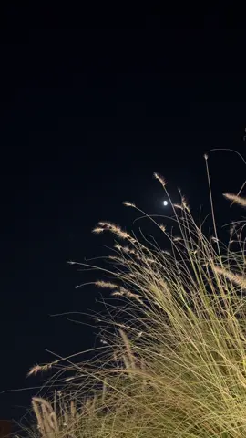 Where winter coffee tastes better  @goodneighbor.ae 💫 #alain_uae #explorepage #explore #coffee 