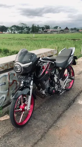 Hay hay ror😍#fyp #tigergank #tigerbirawa 