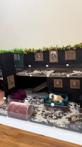 …wearing this 💎 only this. 😅 #guineapigsoftiktok 