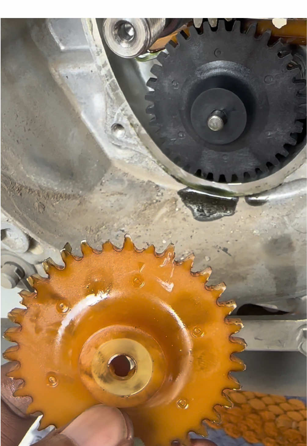 penyakit matic 160 honda, gear pompa oli rompol. #pcx160 #promomakanharian #gakpernahfyp #pcxmodifikasi #masukberanda 