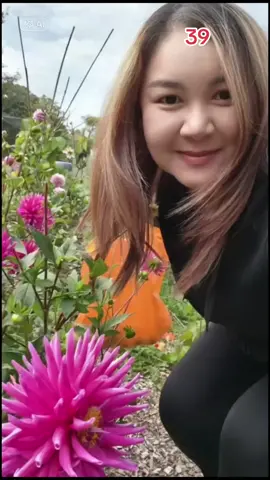 #Multiaverso #CapCut 