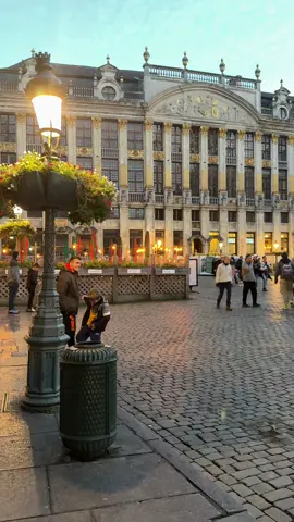 #creatorsearchinsights #creatorsearchinsights #belgium🇧🇪 #GrandPlace #BelgiumBeauty 