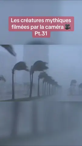 Pensez-vous que le lynx ibérique est un gardien mythique? #horreur #creature #mythic #lynx #dwarf 