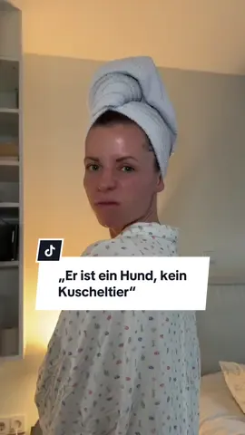 Billies erstes Halloween Kostüm 🧸 #dog #dogmom #doglovers #halloweencostume #fyp 