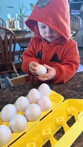 This little egg carton is packed with fun 🥚💛 Match the shapes, colors, and crack open learning — fun for all ages! #EggToy #ToddlerToys #MontessoriPlay #LearningThroughPlay #ShapeSorting     