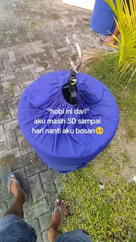 iki hobi udu fomo#kicaumania #kicaumaniaindonesia #sukoharjo24jam🌻 #fyp 