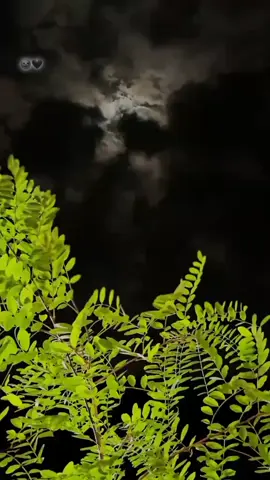 .... 👀🌚#Views #song  #acthetic #foryou 