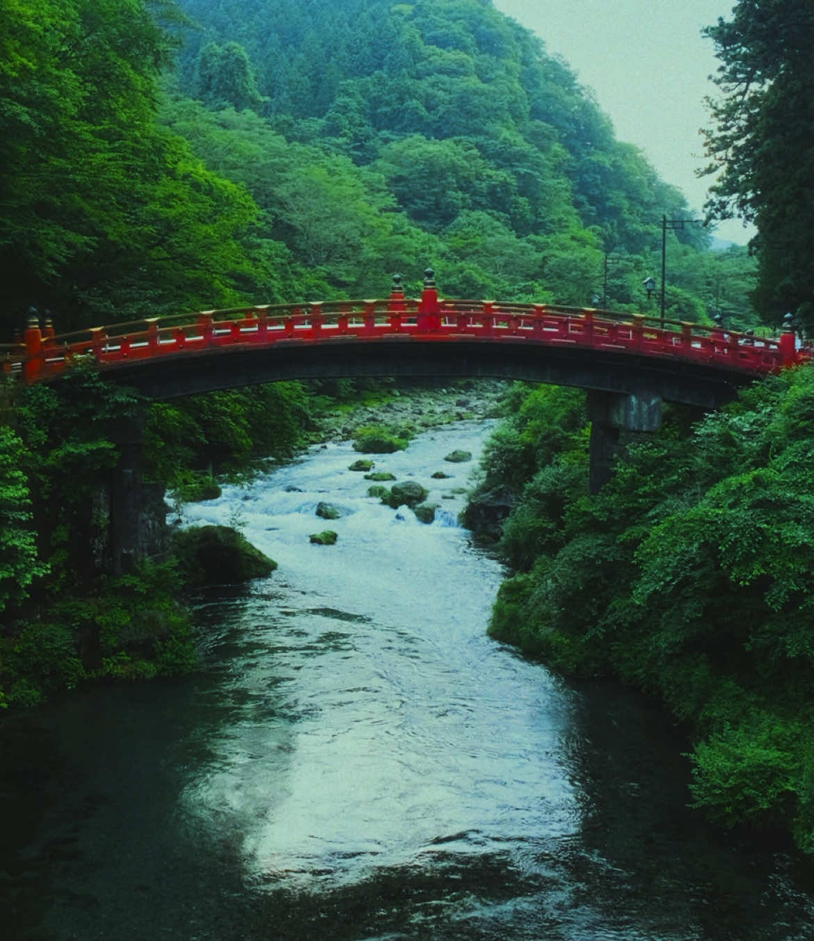 a love letter to Japan, the most beautiful country I’ve ever stepped foot in.  #japan #travel #explore #japantrip #cinematography 