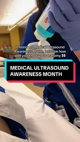 Do you know your anatomy? 👀 Let us know in the comments!! #ultrasound #anatomy #medtok #ultrasoundstudent #medicaltiktok 