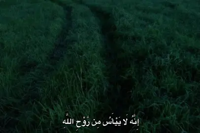 #عبدالباسط_عبدالصمد #fyp #quran #🎧 