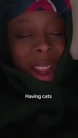 I ordered my biscuits HOURS ago #cats #biscuits #struggle #fypシ 