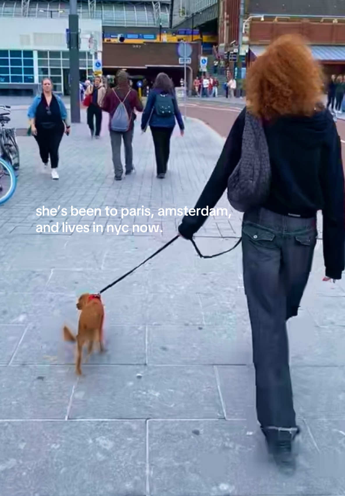 my lottie girl <3 #cavalierkcs #puppy 