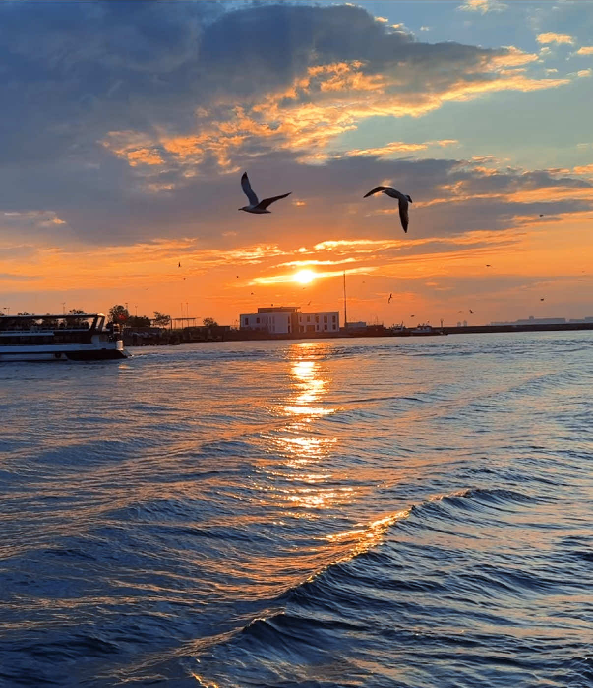 وَلَكِنَّنِي لَمَّا وَجَدْتُكَ رَاحِلًا بَكَيْتُ دَمًا حَتَّى بَلَلْتُ بِهِ الثَّرَى مَسَحْتُ بِأَطْرَافِ الْبَنَانِ مَدَامِعِي فَصَارَ خِضَابًا فِي الْيَدَيْنِ كَمَا تَرَى #عبدالرحمن_محمد  #ولما_تلاقينا  #💔 