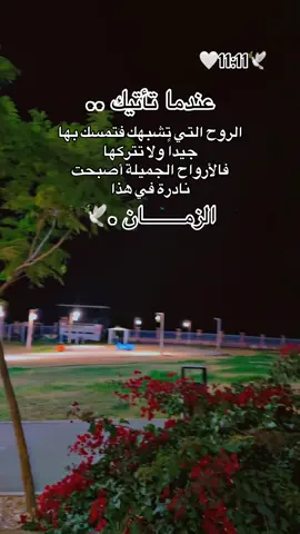 الأرواح الجميلة أصبحت نادرة في هذا الزمان .🥹 #🌹🌹🌹🌹🌹🌹🌹🌹🌹🌹🌹🌹 #الحب #حبيبي #احبكم  #المشكى_على_الله                                         