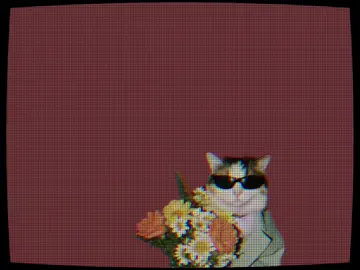 tumi ki bujo na😒🙈#foryoupage #tranding #vairal #itz_arafat_71 #fyp @TikTok Bangladesh 