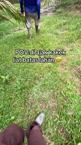 #fyp #sawitontiktok #petanisawit #kulisawit 