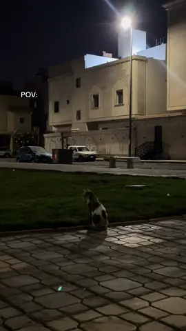 #explore #viral #foryoupage #pov #fyp 